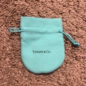 Small Tiffany & Co Dustbag